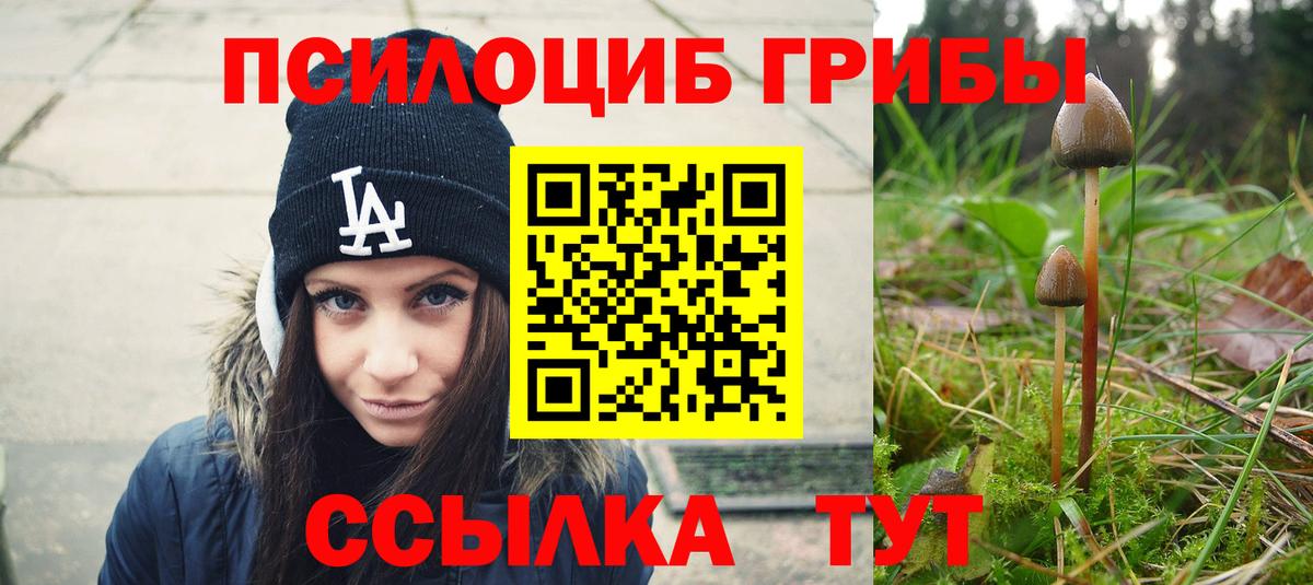 Псилоцибиновые грибы мицелий  Вход с VPN  дарнет шоп  Галлюциногенные грибы GOLDEN TEACHER  Саратов 
